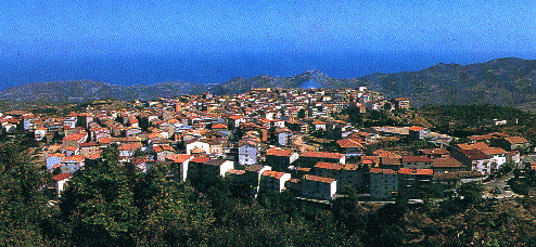 cenni1.gif (92835 byte)